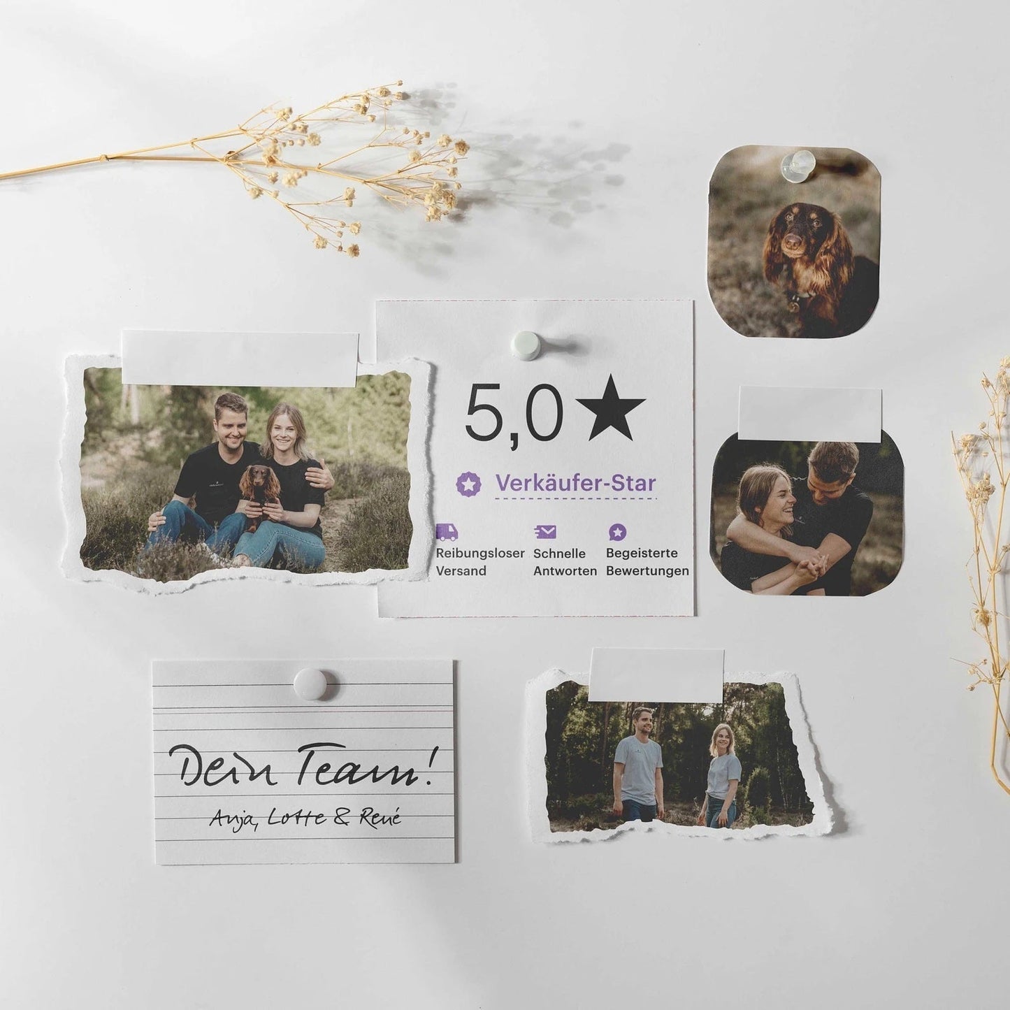 Postkarte - Viel Glück - Marienkäfer - Nr. 50