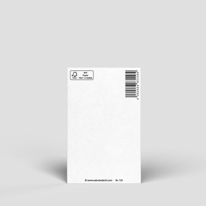 165 - Midikarte - Buchstabe D - Nr. 165